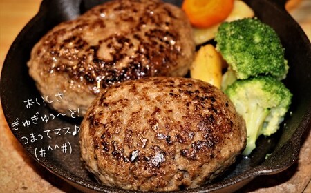 旨味 凝縮 あか牛 100％ ハンバーグ 750g （ 150g × 5個 ） | 肉 お肉 にく おにく ハンバーグ 加工品 牛 牛肉 あか牛 ハンバーグ 熊本 玉名