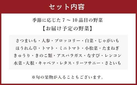 生産者応援 採れたて新鮮 旬のお野菜 詰め合わせセット