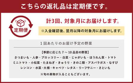 【3ヶ月定期便】生産者応援 採れたて新鮮 旬のお野菜 詰め合わせセット
