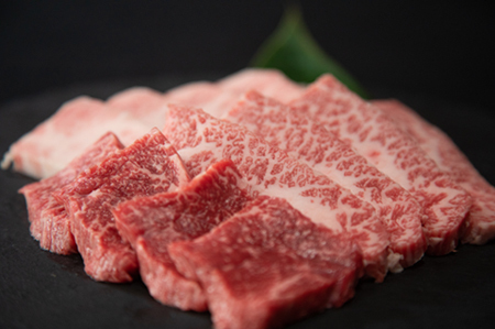 【生産直送】 国産 牛肉 宮崎牛 おためし焼肉　500ｇ×１Ｐ（お肉 モモ ウデ すき焼き 焼肉 赤身） 焼肉 和牛焼肉 牛肉焼肉 焼肉セット 国産焼肉 西ノ原牧場