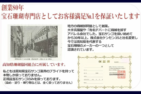 【 珊瑚 】 珊瑚数珠 FN-Limited-PR