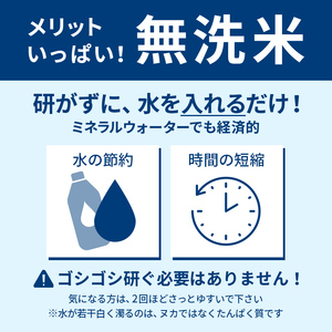 令和5年産 山形県産【雪若丸】無洗米 精米 5kg（5kg×1袋） 米 お米 おこめ 山形県 新庄市 F3S-1901
