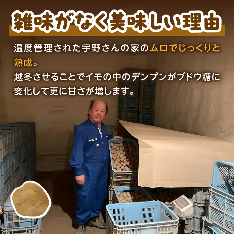 【予約：2027年2月上旬から順次発送】【選べる3サイズ】宇野さんの手拾い、手選別の越冬ジャガイモ 5kg ( 芋 野菜 選べる )【167-0003-2027】