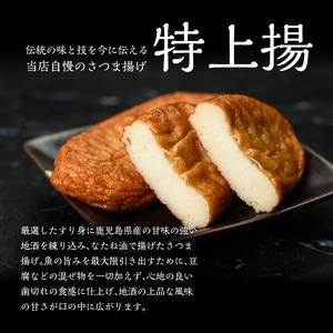 真空個包装！昔ながらの さつま揚げ 8種 計48枚 詰合せ 【TT-21C】食べ比べ セット 真空パック 串木野名物【00-004-04】
