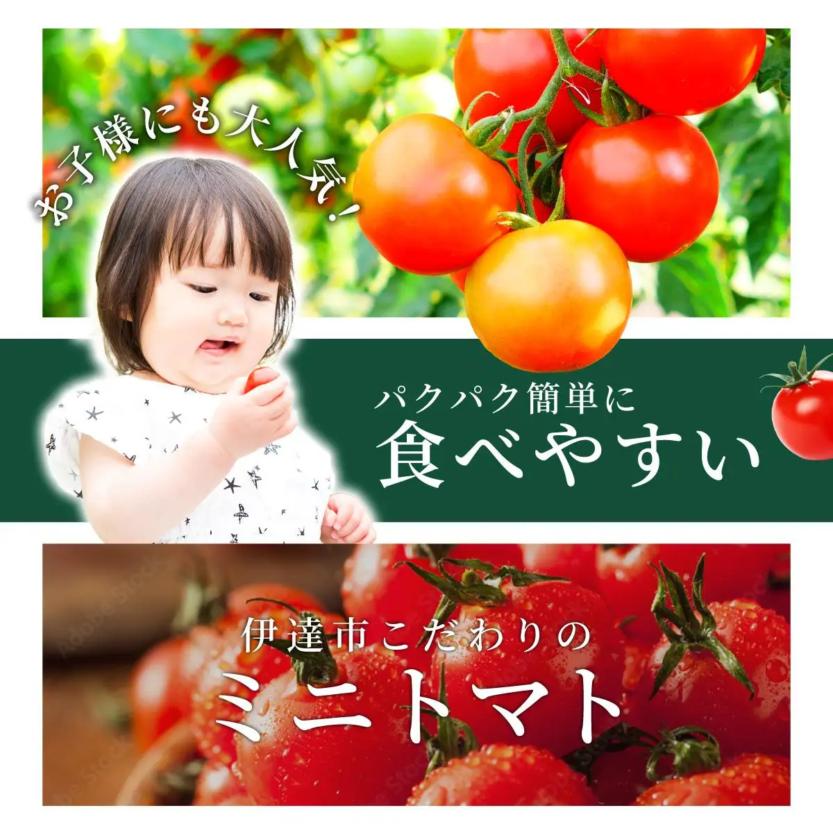 ＜先行予約＞北海道伊達産 ミニトマト 甘っこ 2kg【55250939】