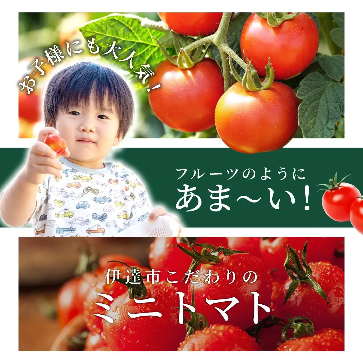 ＜先行予約＞北海道伊達産 ミニトマト まゆか 1kg【55250941】