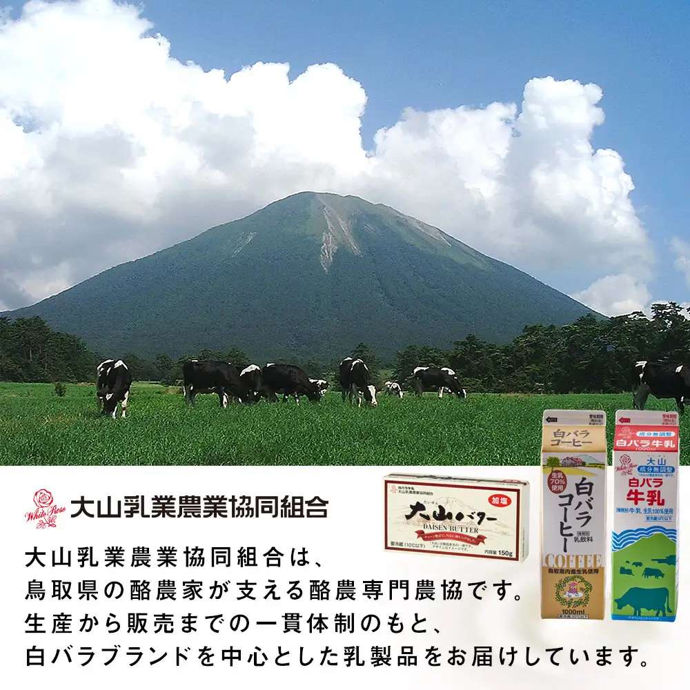 牛乳 乳飲料 鳥取県産生乳使用 「 大山おいしい贈り物 」特選大山おいしい牛乳 大山おいしいカフェオレ 2本 （900ml × 各1本）