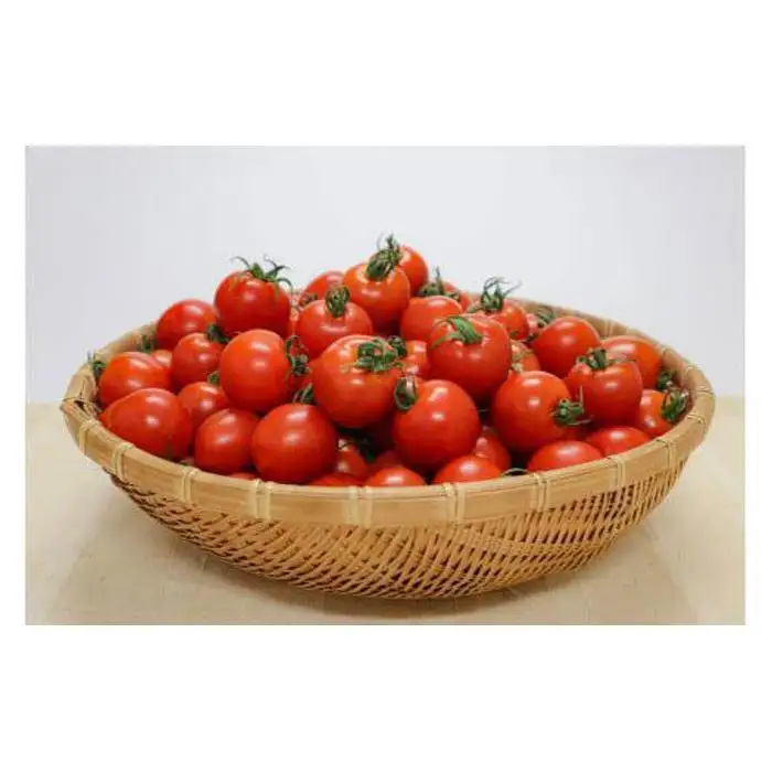 【先行予約】フルーツトマト 三朝町産 2kg × 1箱｜トマト