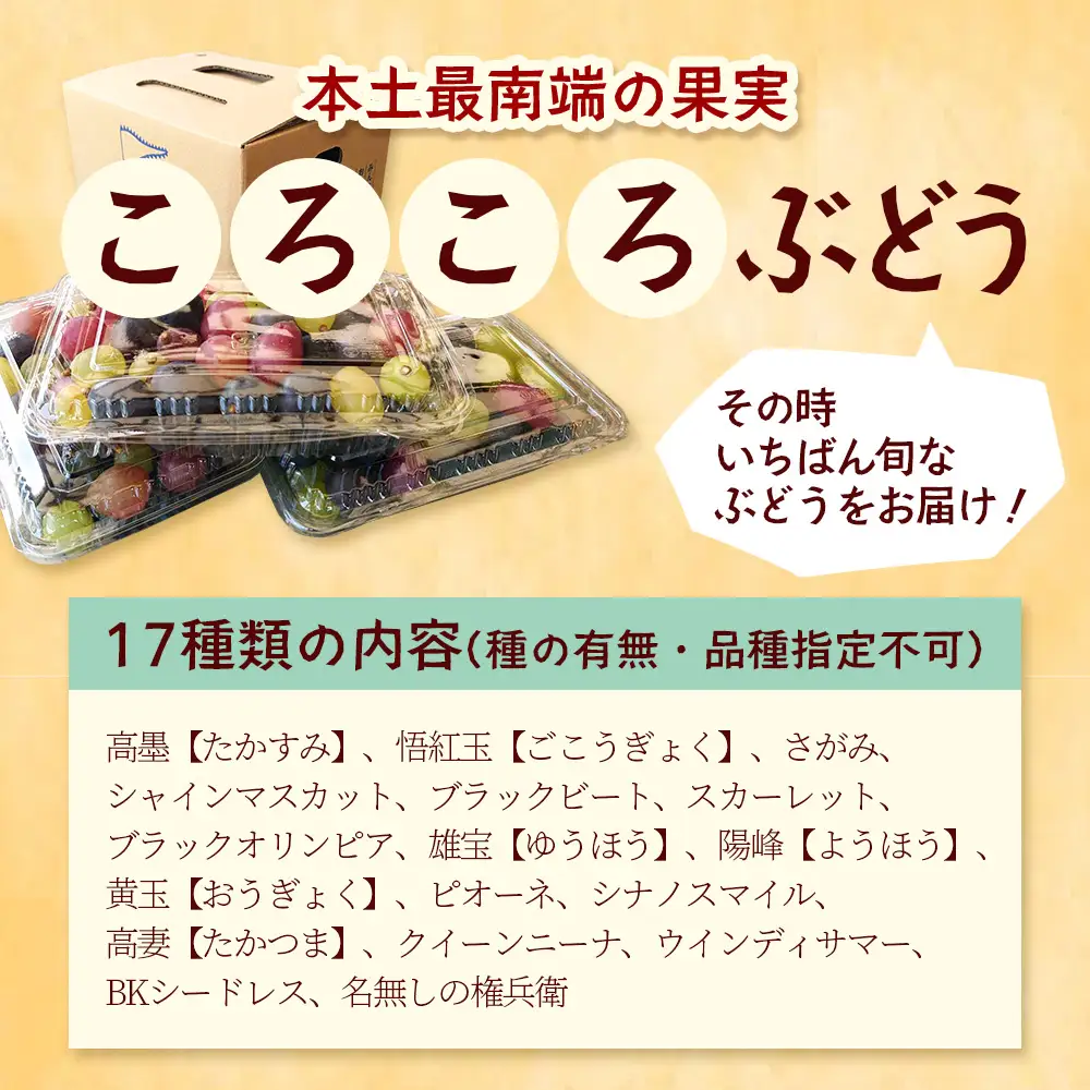 【先行予約・数量限定】2026年7月下旬発送 ＜訳あり＞ 本土最南端ぶどう ころころぶどうパック 約1.2kg TE707｜期間限定 家庭用 産地直送 旬 ブドウ 葡萄 ぶどう フルーツ 果物 くだもの 果実 食べ比べ 鹿児島県 南大隅町 有限会社ティエラ　