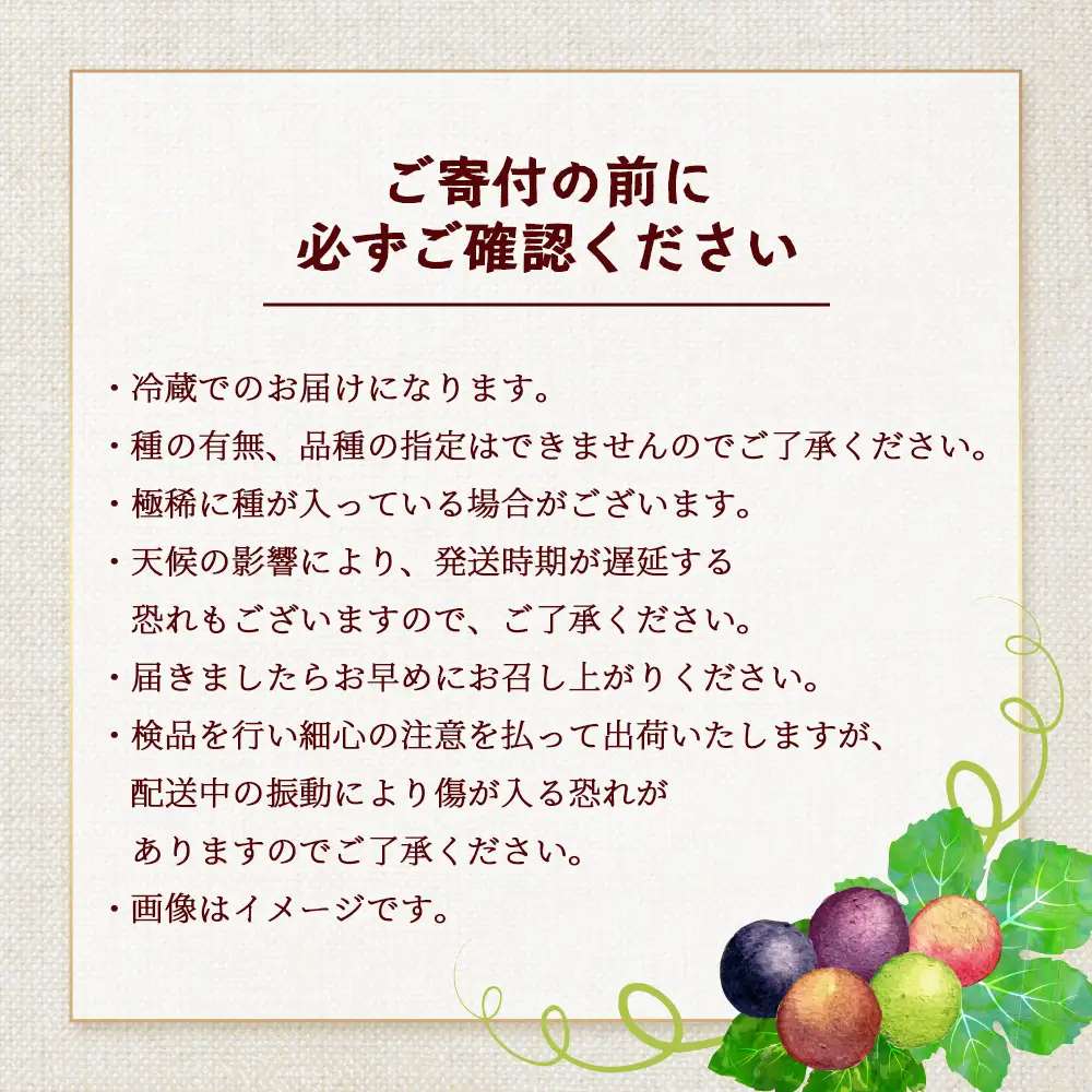 【先行予約・数量限定】2026年7月下旬発送 旬のブドウ味くらべ約2kg (5～6房) TE708｜期間限定 産地直送 旬 ブドウ 葡萄 ぶどう フルーツ 果物 くだもの 果実 食べ比べ 鹿児島県 南大隅町 有限会社ティエラ　