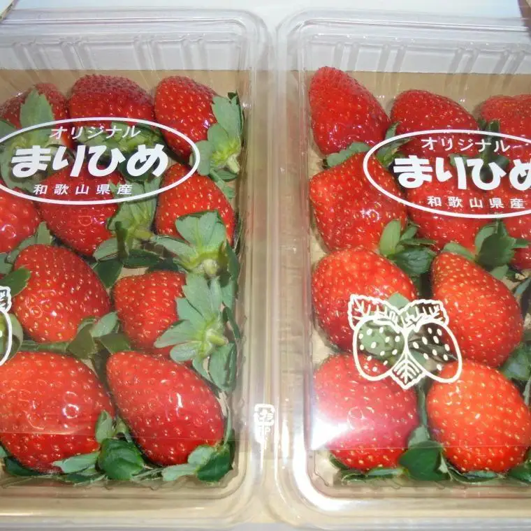 ［2月発送］和歌山県産ブランドいちご「まりひめ」約300g×4パック入り［北海道・沖縄県・離島配送不可］［上富田町産］