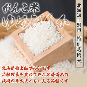 【E7037】＜令和7年産 先行予約！＞《定期便・全6回》田舎塾特別栽培米「がんこ米ゆめぴりか」(5kg×6回・計30kg) 【2025年10月中旬以降順次発送】 米 お米 白米 北海道産 北海道米 ゆめぴりか 特A 一等級 ごはん おこめ コメ 単一原料米 定期便 【田舎塾】