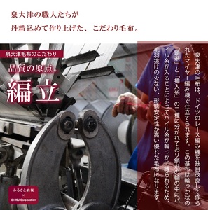 DAKS アクリルマイヤーハーフ毛布(毛羽部分) くま｜ブランケット 快眠 快適 熟睡 睡眠 洗える 洗濯可能 丸洗い可能 [4516]