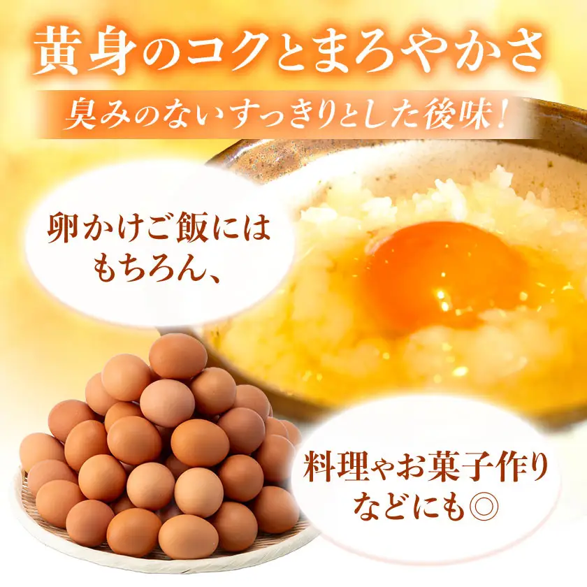 岩田のおいしい卵　実用中玉55個+破卵保障5個 (10個入り×6パック)_卵・乳製品 卵  たまご タマゴ 玉子_【配送不可地域：離島】【1081154】