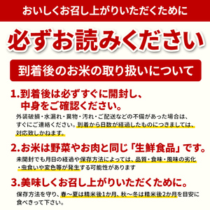 令和5年産 山形県産【雪若丸】玄米 5kg（5kg×1袋） 米 お米 おこめ 山形県 新庄市 F3S-1900