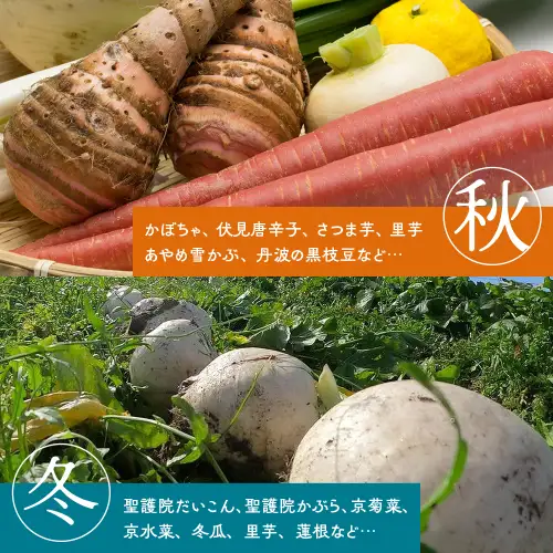 旬の京野菜スペシャル 野菜
