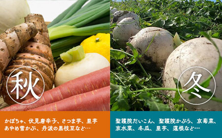 【3回定期便】旬の京野菜セット スペシャルコース 野菜