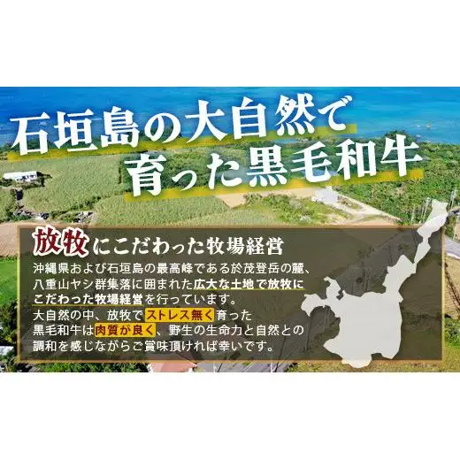石垣島産 黒毛和牛 生ハンバーグ 120g x 6個 UN-1