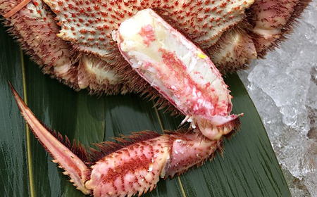 【訳あり】北海道産 冷凍ボイル毛がに（約570g×3杯）1.71kg かに 蟹 かにみそ 小分け 毛蟹 海産物 魚介類 水産物応援 水産物支援 年内発送  毛がに 毛ガニ 海の幸 カニ ガニ 魚介 海鮮 食品 北海道 南幌町 NP1-438