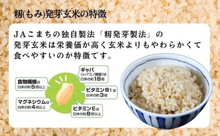 あきたこまち籾発芽玄米真空キューブ米秋田県産あきたこまち【3kg(300g×10個)】
