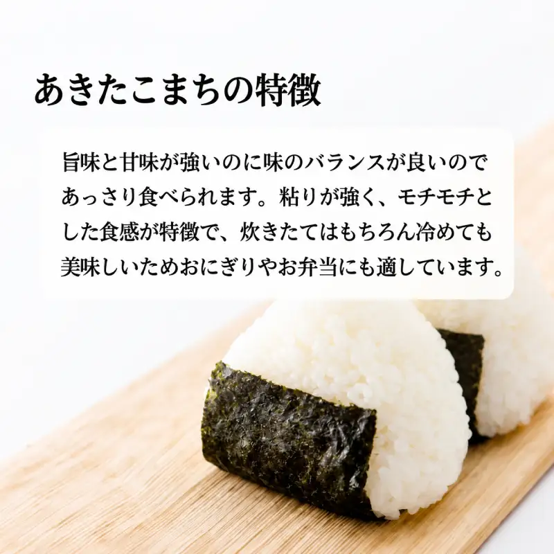 あきたこまち秋田県産真空キューブ米JAこまちあきたこまち【3kg(300g×10個)】