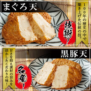 本場鹿児島のさつま揚げセット(全6種・計16枚) a1-100
