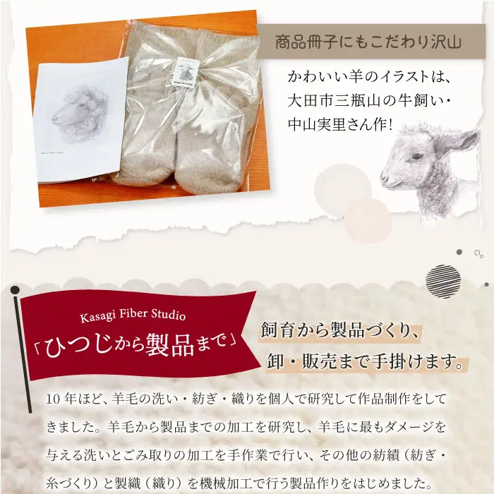 ひつじ飼いが作る ごほんゆびウールソックス Lサイズ(ベージュ)【ウール ソックス 5本指 靴下 Lサイズ ベージュ レディース メンズ 男女兼用 島根県 大田市】