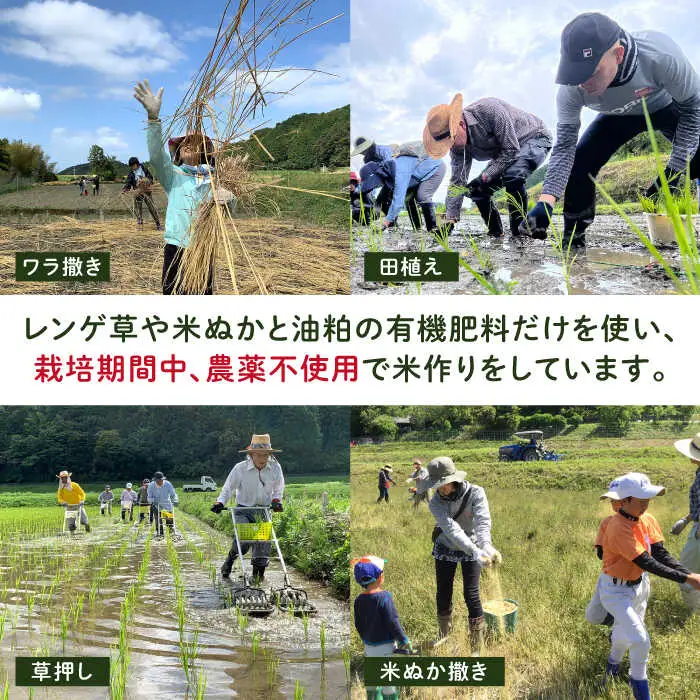 田縁黒米（でんえんくろまい）300g×3パック  糸島市 / NPO法人田縁プロジェクト 古代米 黒米 米 ご飯 [ATM003]