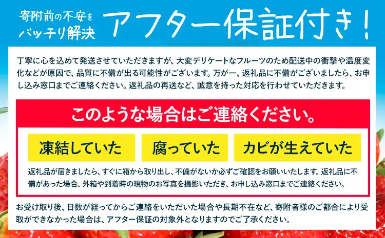 あまおう 500g いちご 先行予約