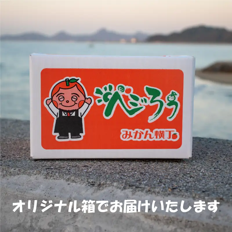 紅まどんな 家庭用 オリジナル箱 〇等級 5玉ー8玉 【2026年11月下旬頃から順次発送】 マドンナ 【VEG0013】