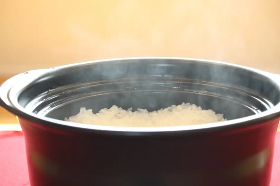 【令和8年産新米予約】【新潟県認証米】 10kg (5kg×2袋) 特別栽培米 新之助 阿賀野市産 丸山農園 米 こめ コメ 白米 精米 新米 新米予約 令和8年産 10月中旬より順次発送予定 3F04032