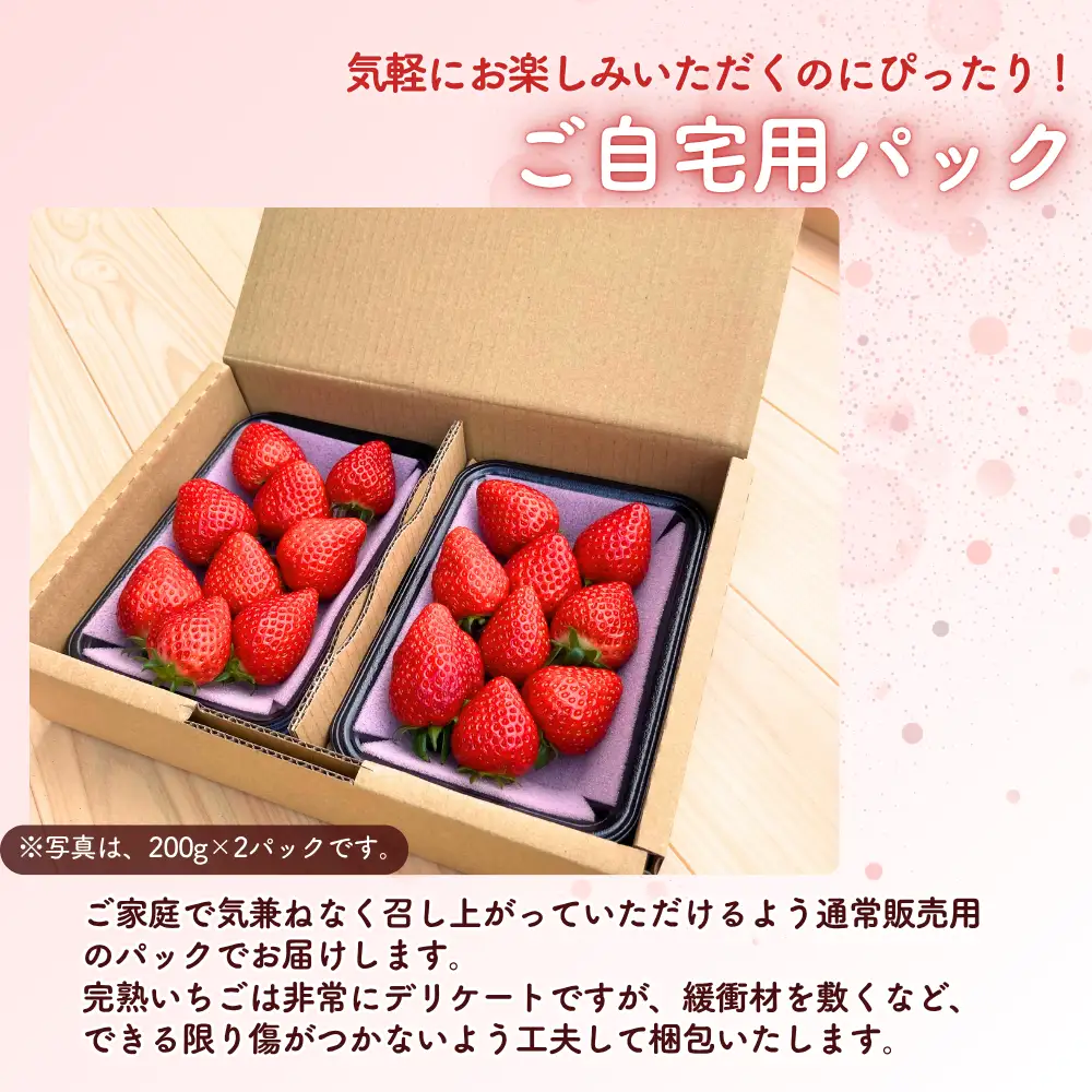 【年内発送・12/27～30】先行予約 朝摘み 完熟いちご 自宅用 800g(200g×4)  M-FI-A61A