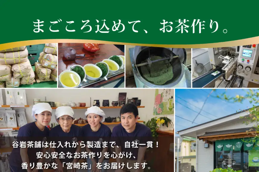 茶 特撰 みやざき茶 3本 セット