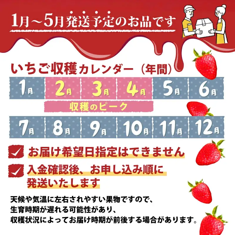 いちご【2027年1月～発送予定】古都華いちご（270ｇ×4P） drm001