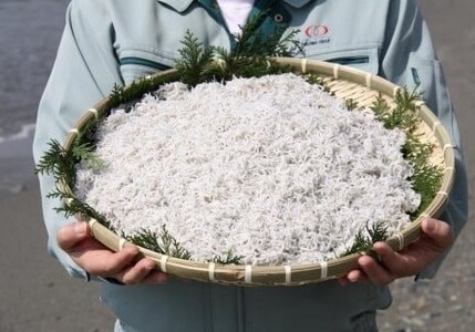 【 数量限定 】釜揚げ しらす 300g ( 100g × 3P ) 冷凍 小分け 釜揚しらす 魚 常備品 しらす丼 しらすパスタ 小分け しらす 愛媛県 松山市【STM002】