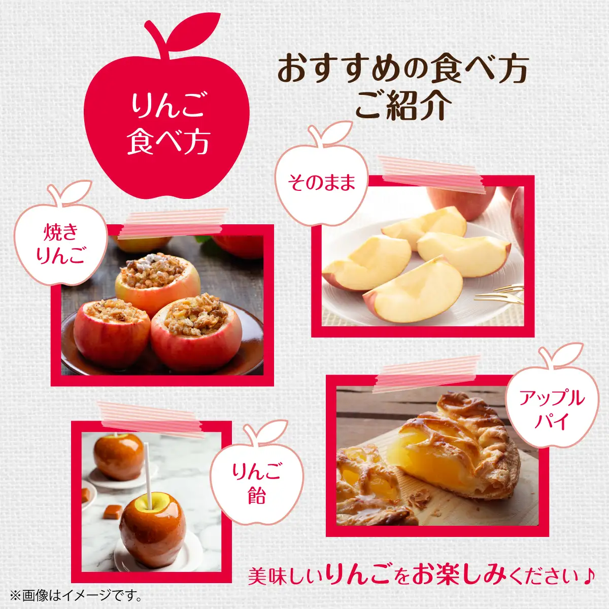 【先行予約】北海道壮瞥町産りんご「ぐんま名月」約3kg(8～10玉)＜2026年11月中旬よりお届け＞ SBTF004