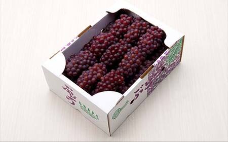 ≪2026年先行予約≫山形県産 デラウェア 1.8kg(9～16房) 秀品 2026年8月上旬から順次発送 種無し 食べやすい ぶどう ブドウ 葡萄 くだもの 果物 フルーツ 夏果実 数量限定 F4A-0529