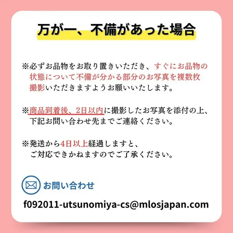 高級いちご 完熟スカイベリー2パック 580g アフター対応あり いちご ※2026年12月～発送