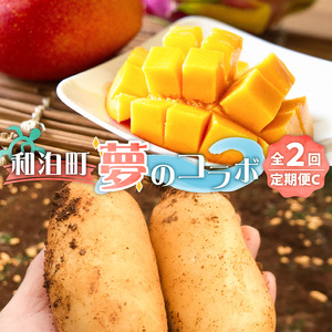  和泊町「夢」のコラボ【2回】定期便Ｃ W034-003u 野菜 イモ 定期便