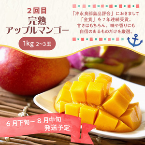 和泊町「夢」のコラボ【3回】定期便Ｄ W034-004u 冷凍 野菜 イモ 定期便