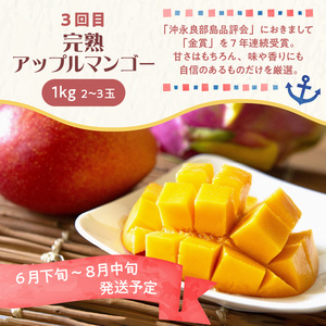 和泊町「夢」のコラボ【4回】定期便Ｅ W034-005u 冷凍 野菜 イモ 定期便