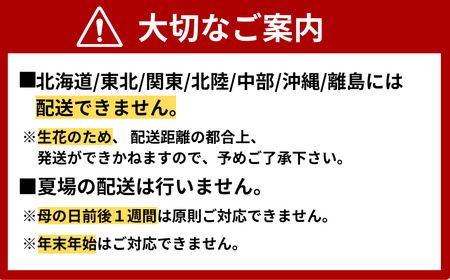 【北海道・東北・関東・北陸・中部・沖縄・離島配送不可／着日指定必須】フラワーアレンジメント [5000円相当] BTDC001