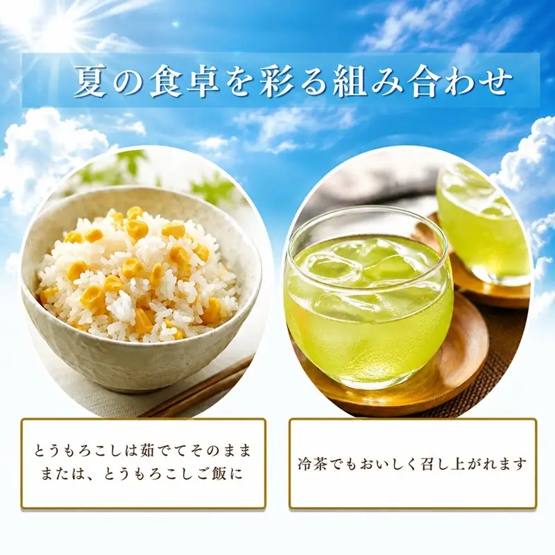 とうもろこし 新茶 セット 8～9本 詰め合わせ とうもろこし