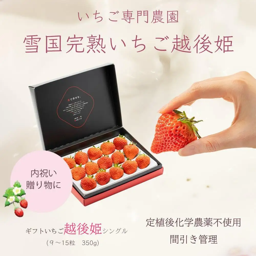 【先行予約】越後姫 いちご シングル約380g 越後姫 苺の花ことば