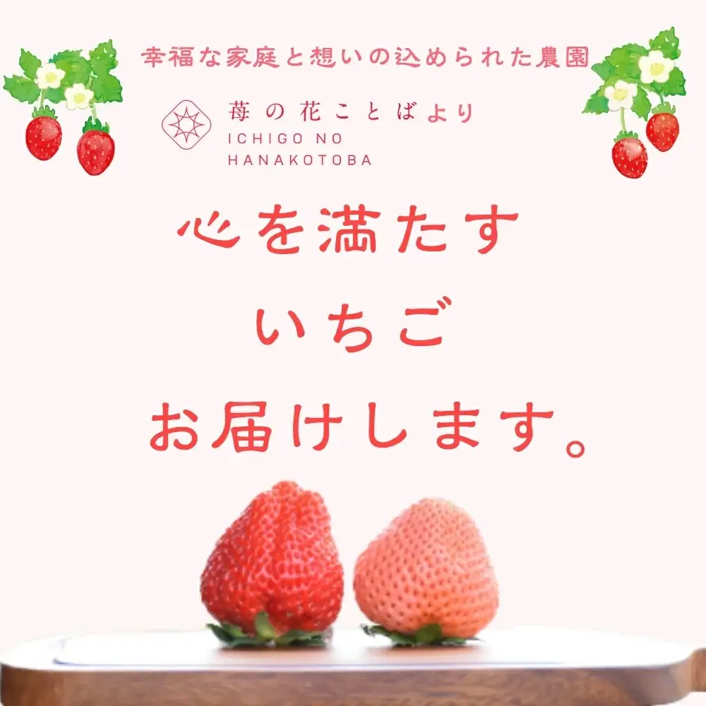 【先行予約】越後姫桃薫 いちご 越後姫 約200g×2P食べ比べ