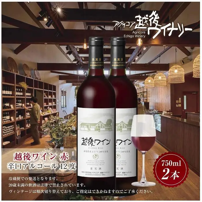 越後ワイン 赤 750ml 2本セット アグリコア  越後ワイナリー  新潟県産 ぶどう100%使用  辛口 ミディアムボディ アルコール12% 国産ワイン 魚沼ワイン 送料無料 新潟県 南魚沼市