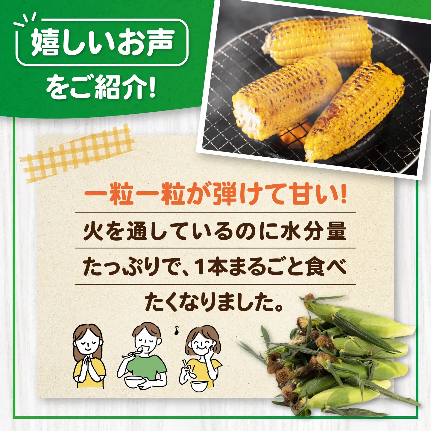 【先行予約】とうもろこし 味来 13本 [AJAK006] とうもろこし