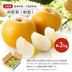 SE0485　【3回定期便】おいしい酒田 マルっとお届け便2026(2) 4月下旬～ (いちご、紅花メロン、刈屋梨)