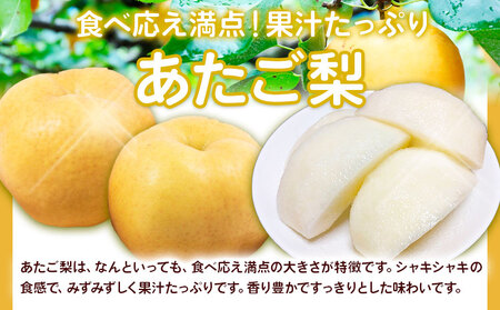 【先行予約】 岡山のフルーツ 定期便3回コース【配送不可地域あり】