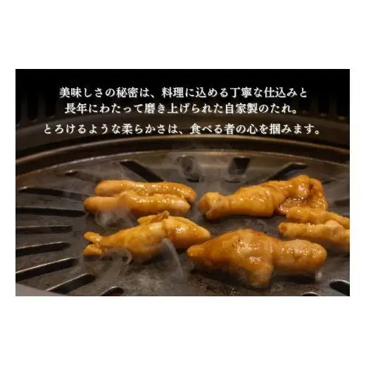 大衆焼肉「きらく」の贅沢セット 1.6kg (特製タレ付き) 肉 焼肉 牛肉 豚肉 白 ホルモン もつ カルビ 牛タン トンバラ 豚バラ オススメ